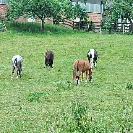 Apartament Ferien Auf Dem Land Warstein Zewnętrze zdjęcie