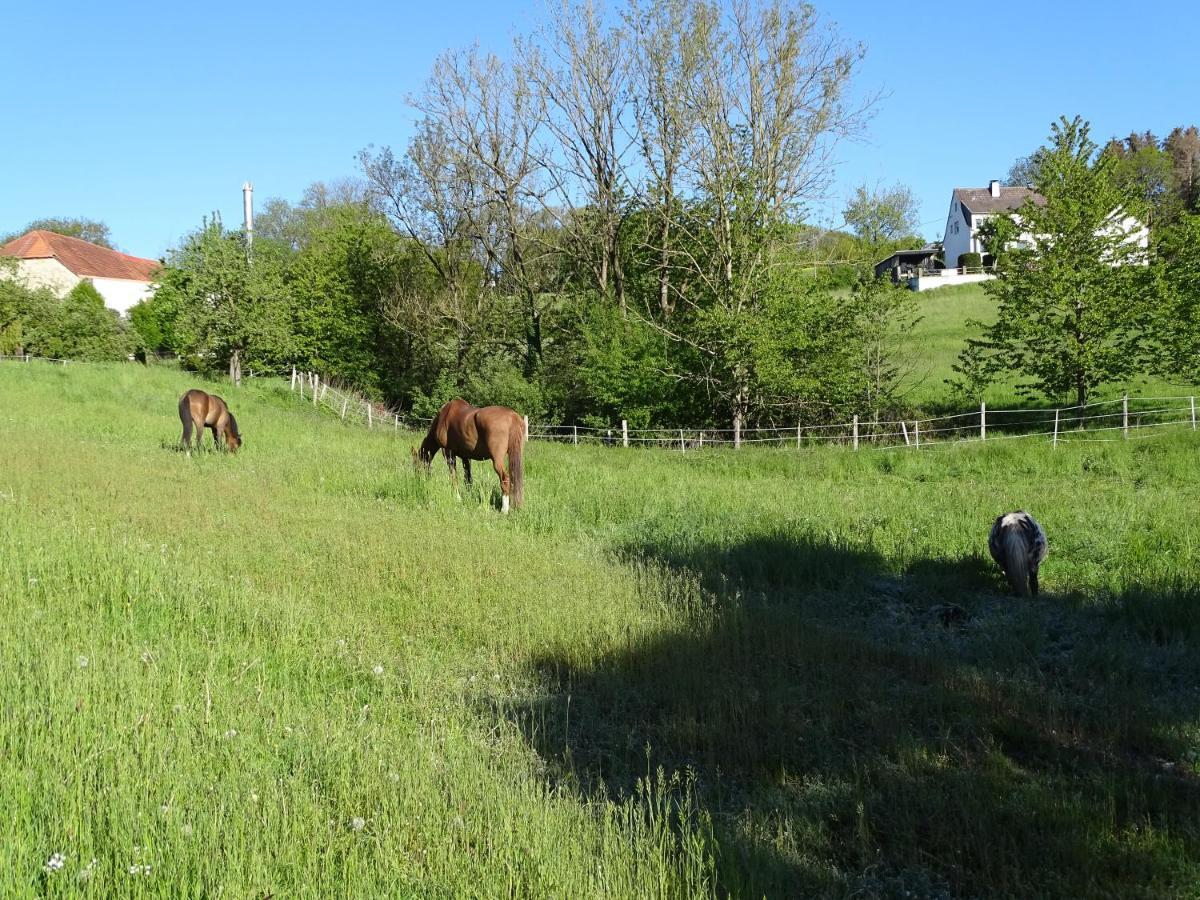 Apartament Ferien Auf Dem Land Warstein Zewnętrze zdjęcie